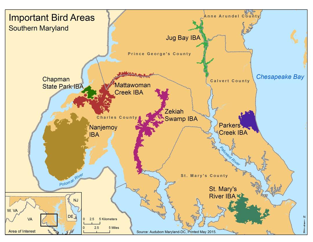 Southern Maryland Important Bird Areas Inform Land Use Planning