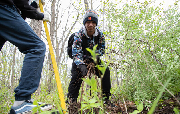 Habitat Team Volunteers in Patterson Park 