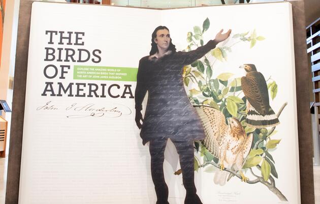 The Birds of America Page Turning and Bird Ambassador at the John James Audubon Center