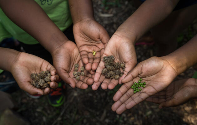 Seed Stewards Seed Packing at The Discovery Center in Philadelphia