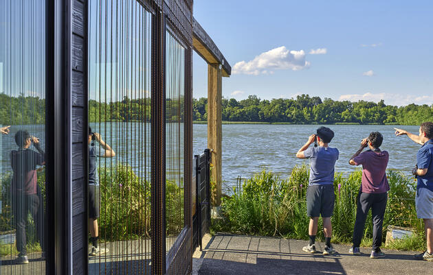 Intro to Birding at the Discovery Center in Philadelphia