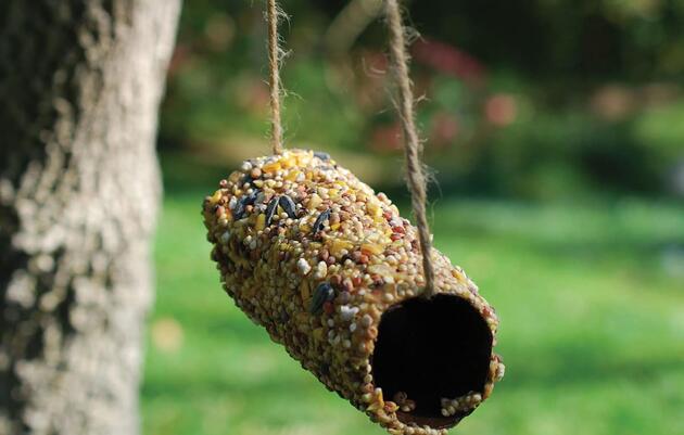 Bird Feeder Workshop at the Discovery Center in Philadelphia