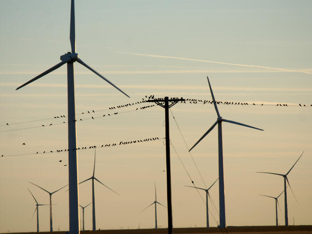 Renewable Energy