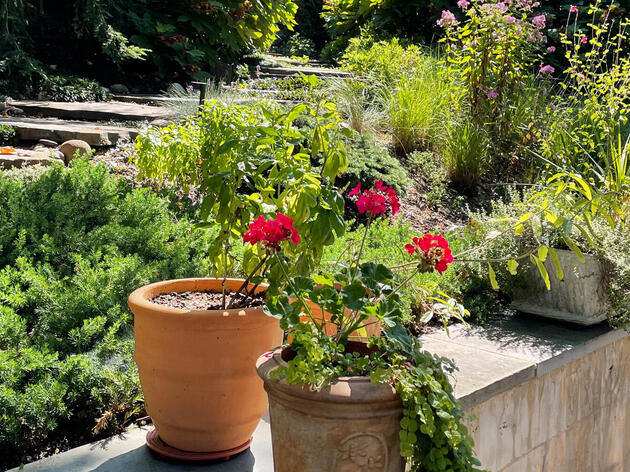 Creating Bird-Friendly Habitat in our Communities